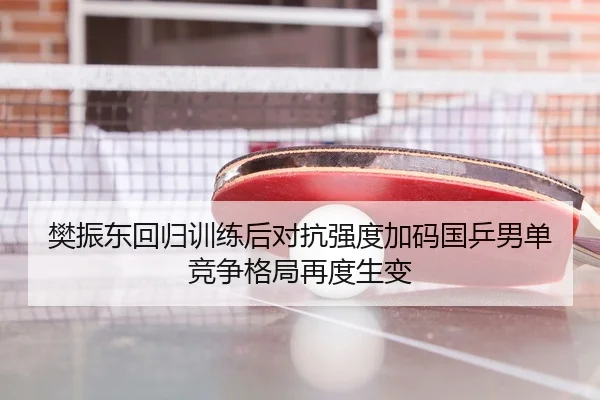 樊振东回归训练后对抗强度加码国乒男单竞争格局再度生变